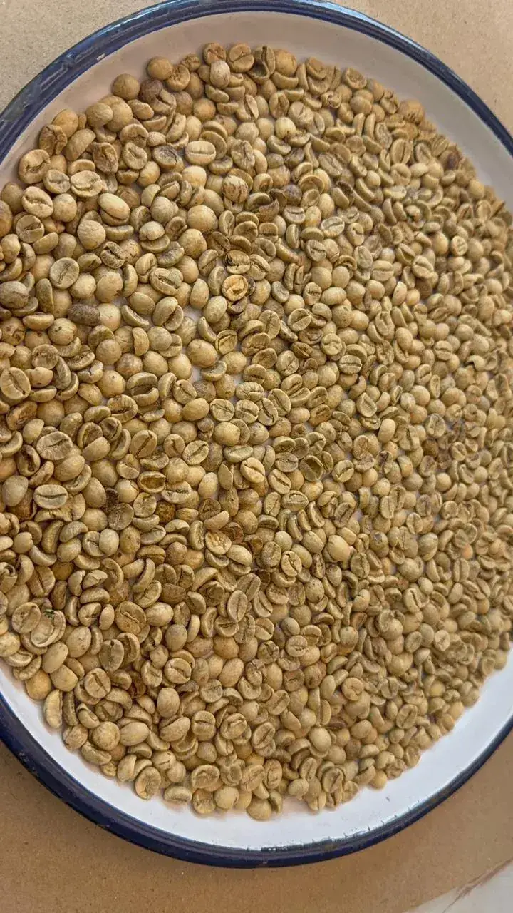 Arabica Coffee (Non-Roasted)