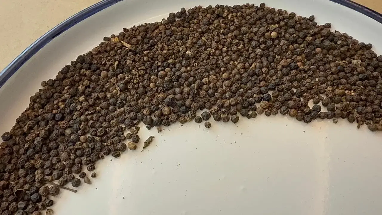 500+ GL Hand Pick FAQ Black Pepper