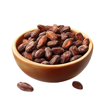 Cocoa Beans