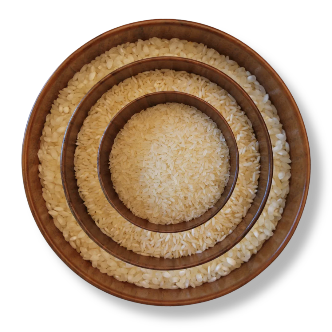 Non-Basmati Rice